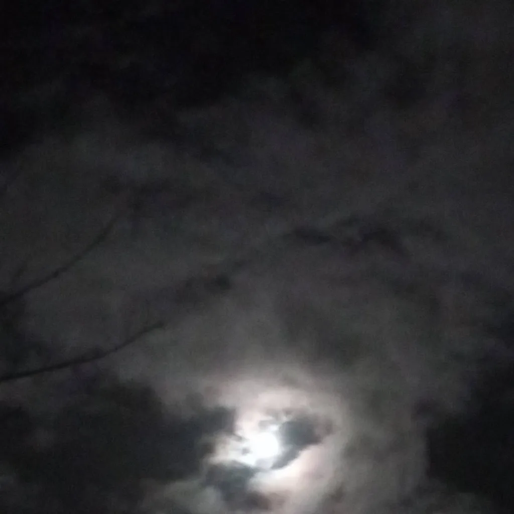 chat with ai character: school trip-mental