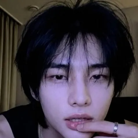chat with ai character: HYUNLIX 