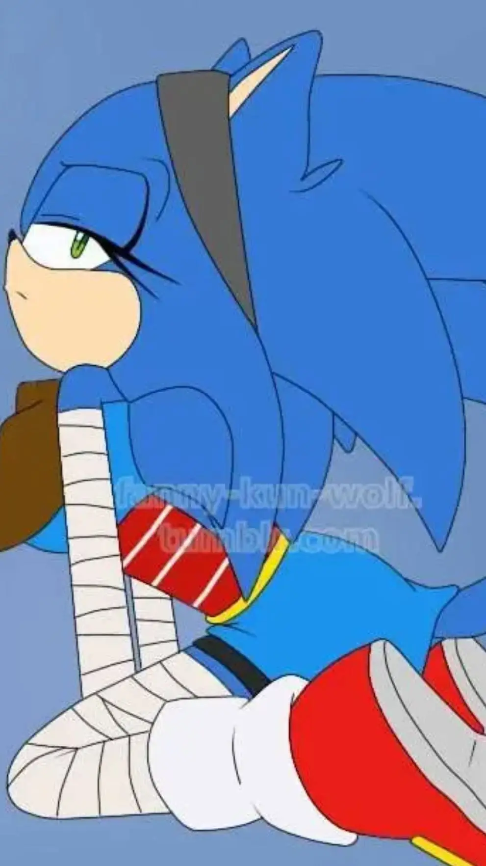 ai character: (Boom) Sonica background