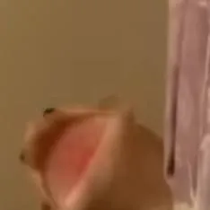 chat with ai character: Brooklyn T Guy