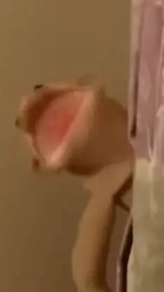 ai character: Brooklyn T Guy background