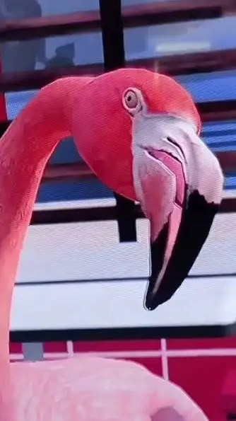 ai character: Valentino Salami  background