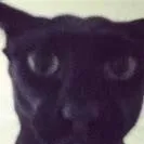 chat with ai character: Larry