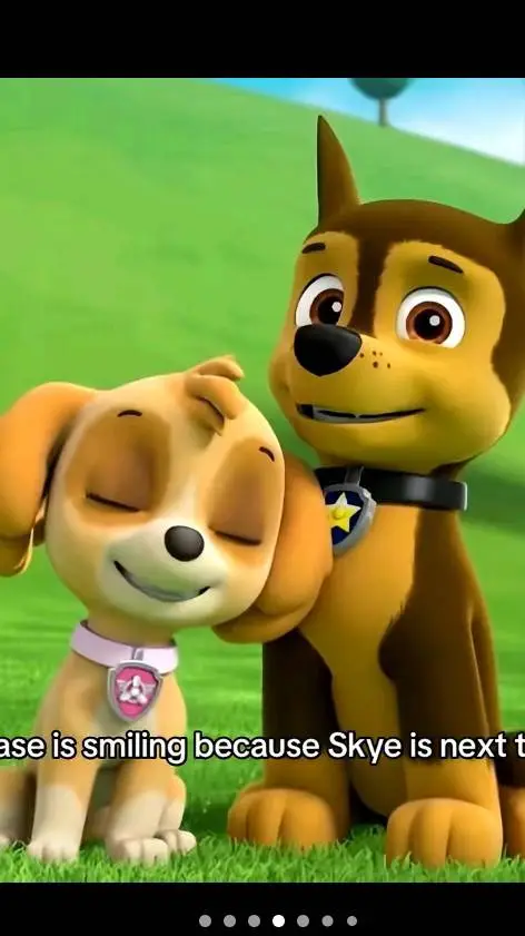 ai character: c x s background