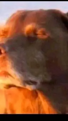 ai character: what just i whitne background