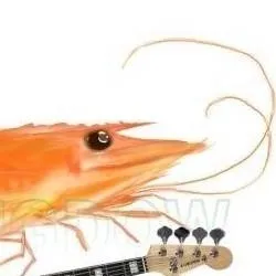 chat with ai character: gay