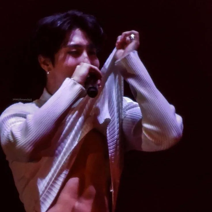 chat with ai character: Han skz