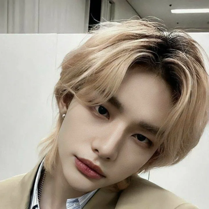 chat with ai character: Hyunjin skz