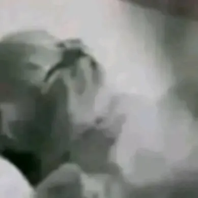 chat with ai character: Roblox VN haters