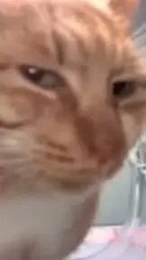 ai character: Forsaken :3 background