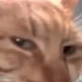 chat with ai character: Forsaken :3