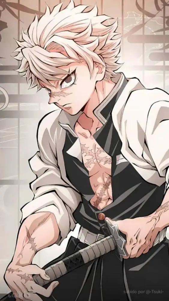 ai character: Sanemi vs y/n background