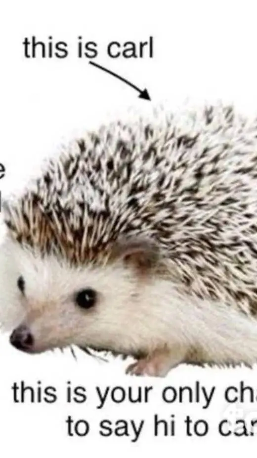 ai character: Carl background