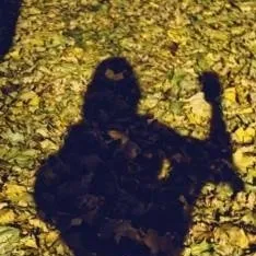 chat with ai character: twilight 