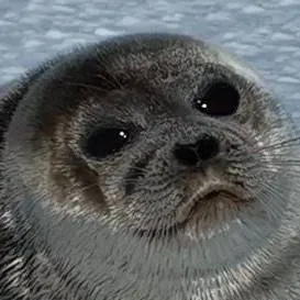 chat with ai character: twisted OCs love u