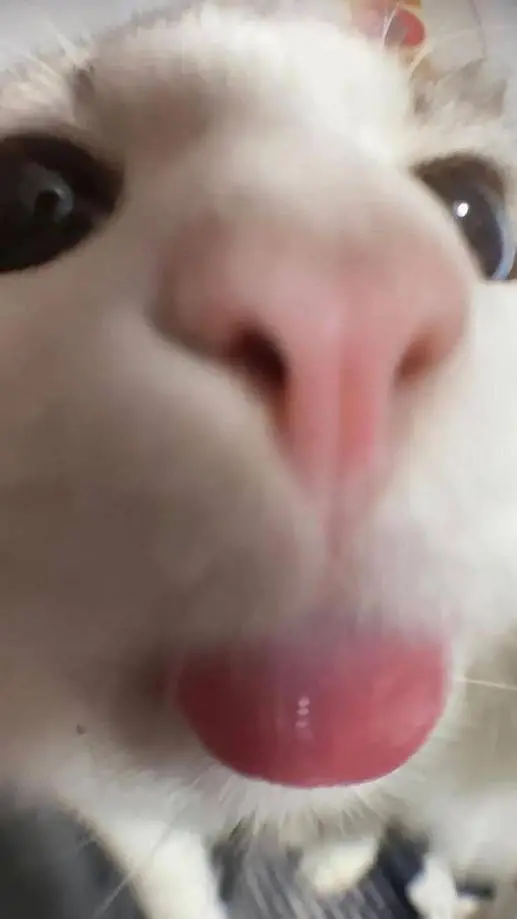 ai character: 2 azures background