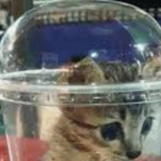 chat with ai character: aliyah