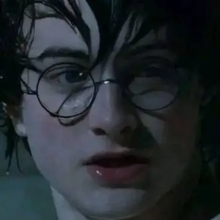 chat with ai character: 𝐇𝐚𝐫𝐫𝐲 𝐏𝐨𝐭𝐭𝐞𝐫⚡