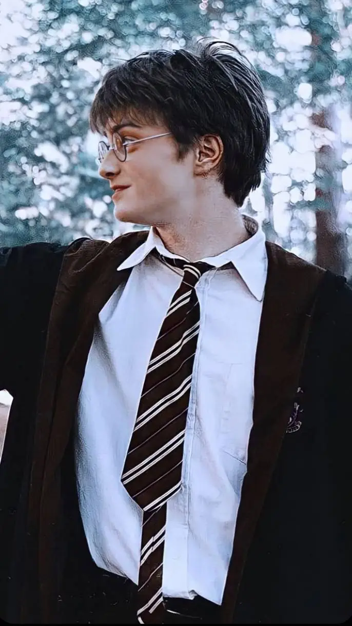 ai character: Harry Potter background