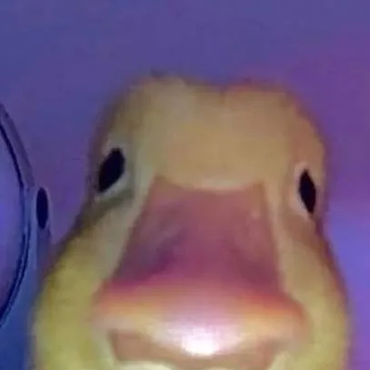 chat with ai character: DUCKZ