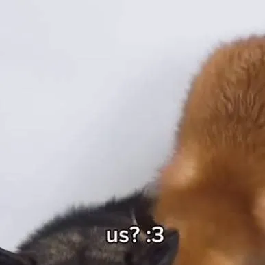 chat with ai character: ♡chak♡