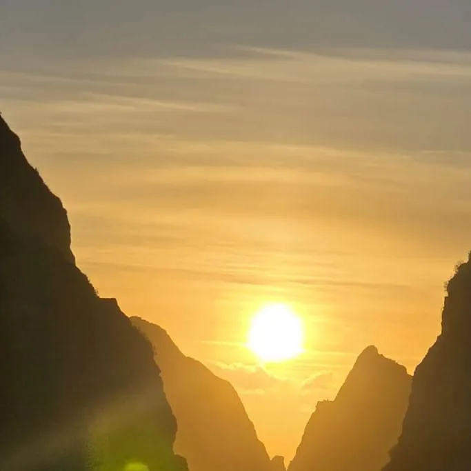 chat with ai character: Summer Iris 🔥