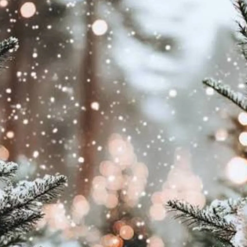 chat with ai character: christmas 