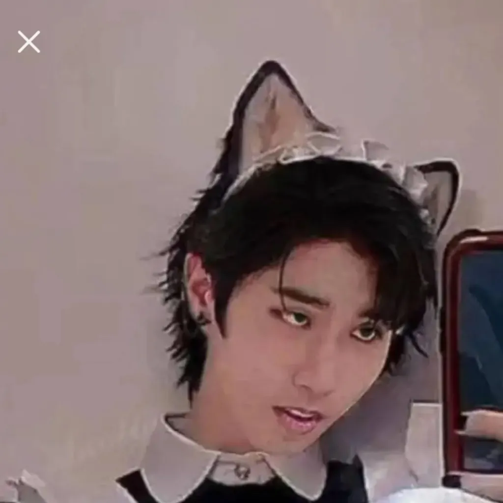 chat with ai character: ✮HAN✮