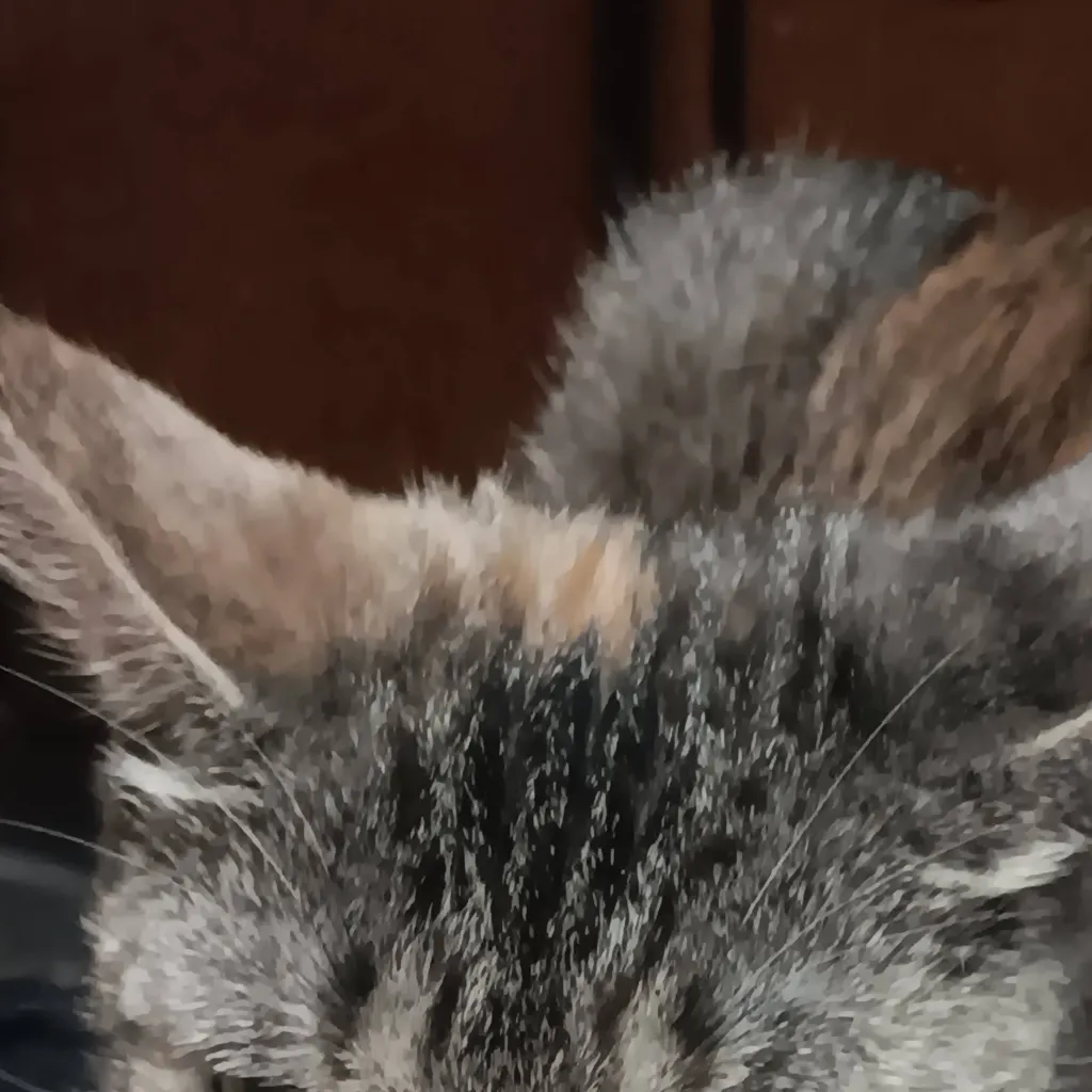 chat with ai character: my kitty coffee 