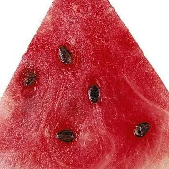 chat with ai character: Watermelon