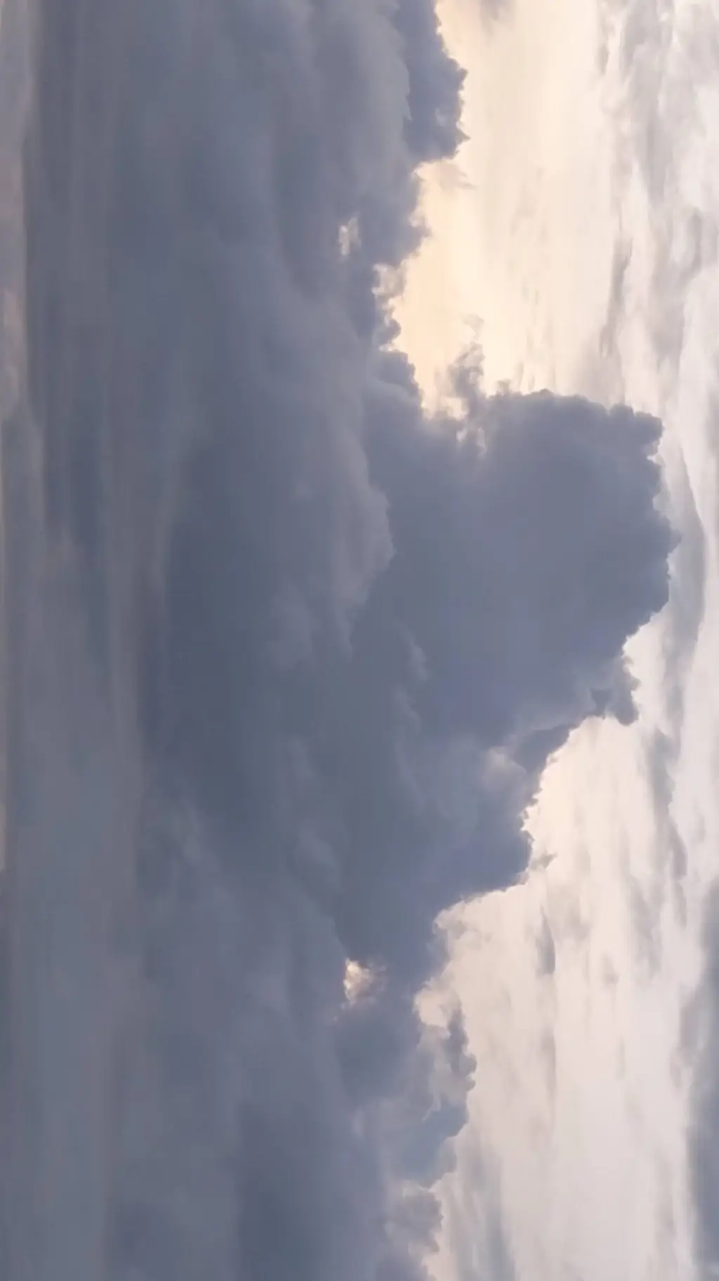 ai character: grade 4 Virgo  background