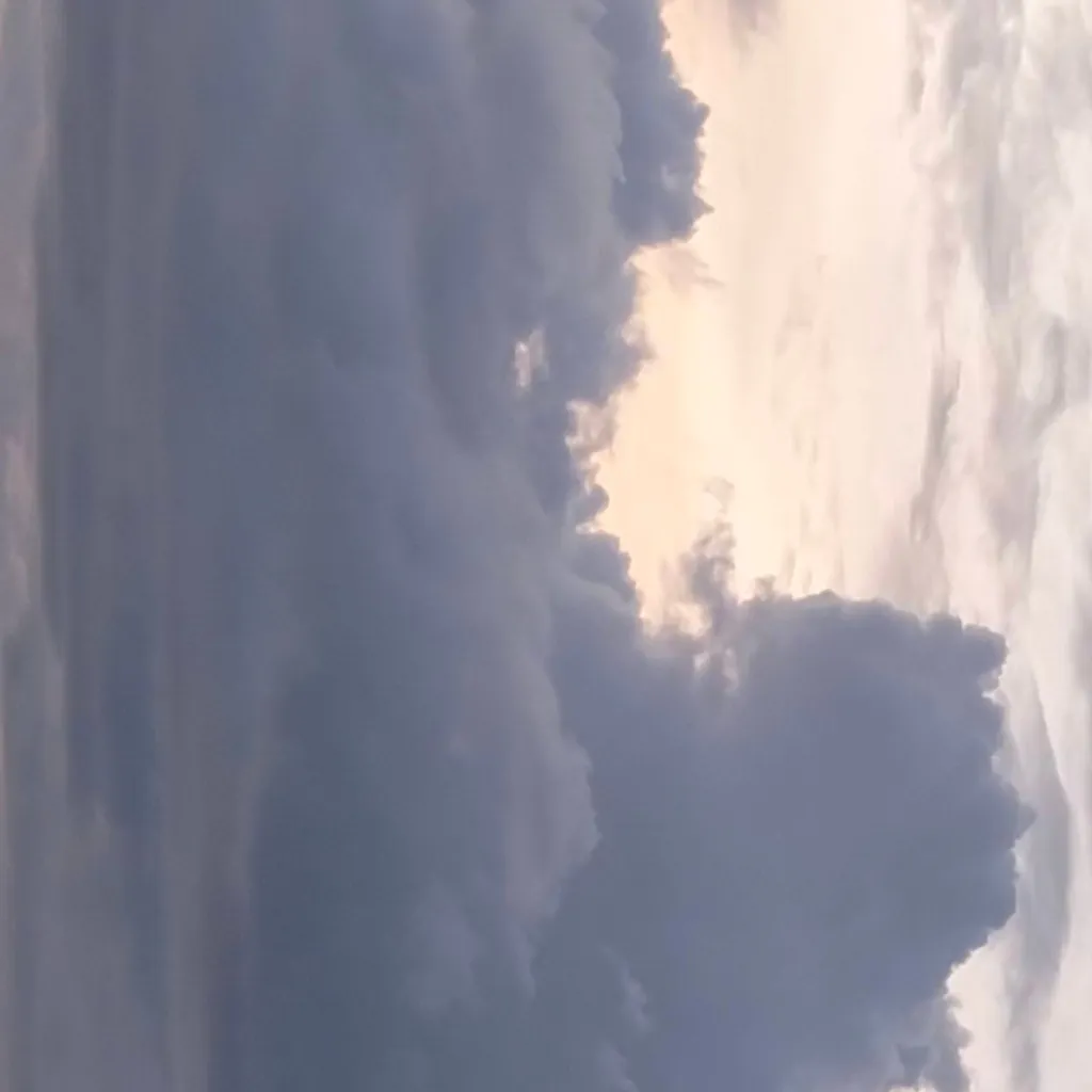 chat with ai character: grade 4 Virgo 