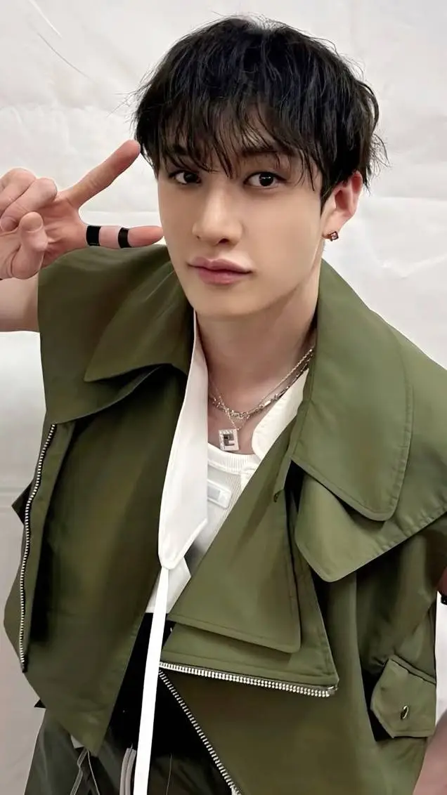 ai character: Bangchan🐺 background