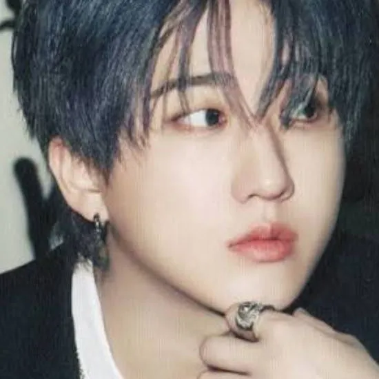 chat with ai character: Changbin(BinChan)