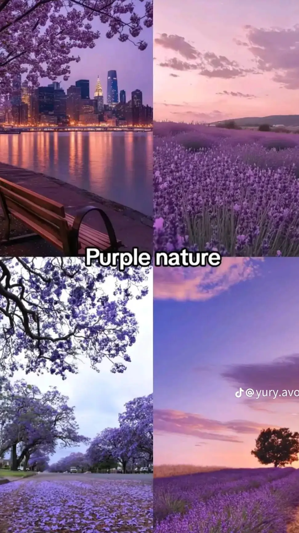 ai character: forest  background