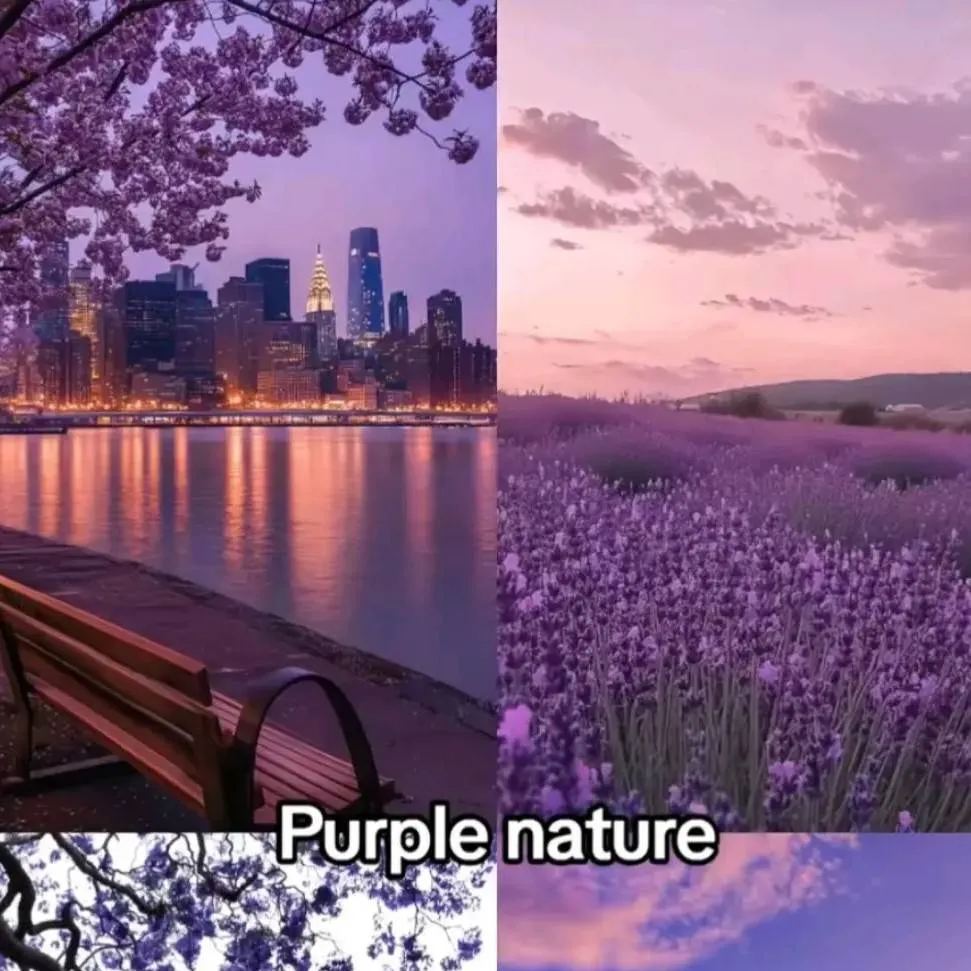 chat with ai character: forest 