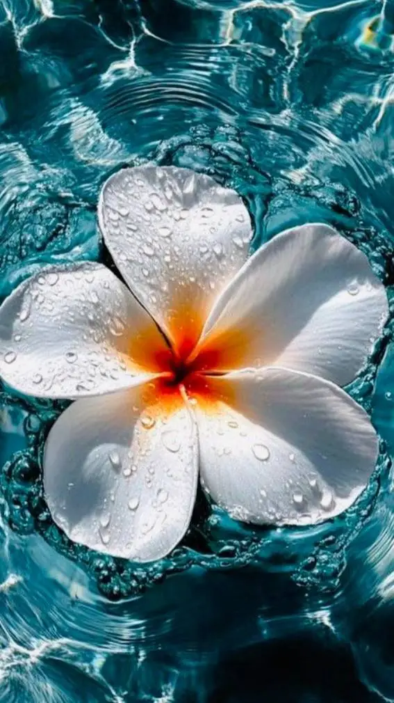 ai character: create your story  background