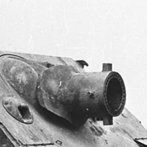 chat with ai character: you vs sturmtiger 