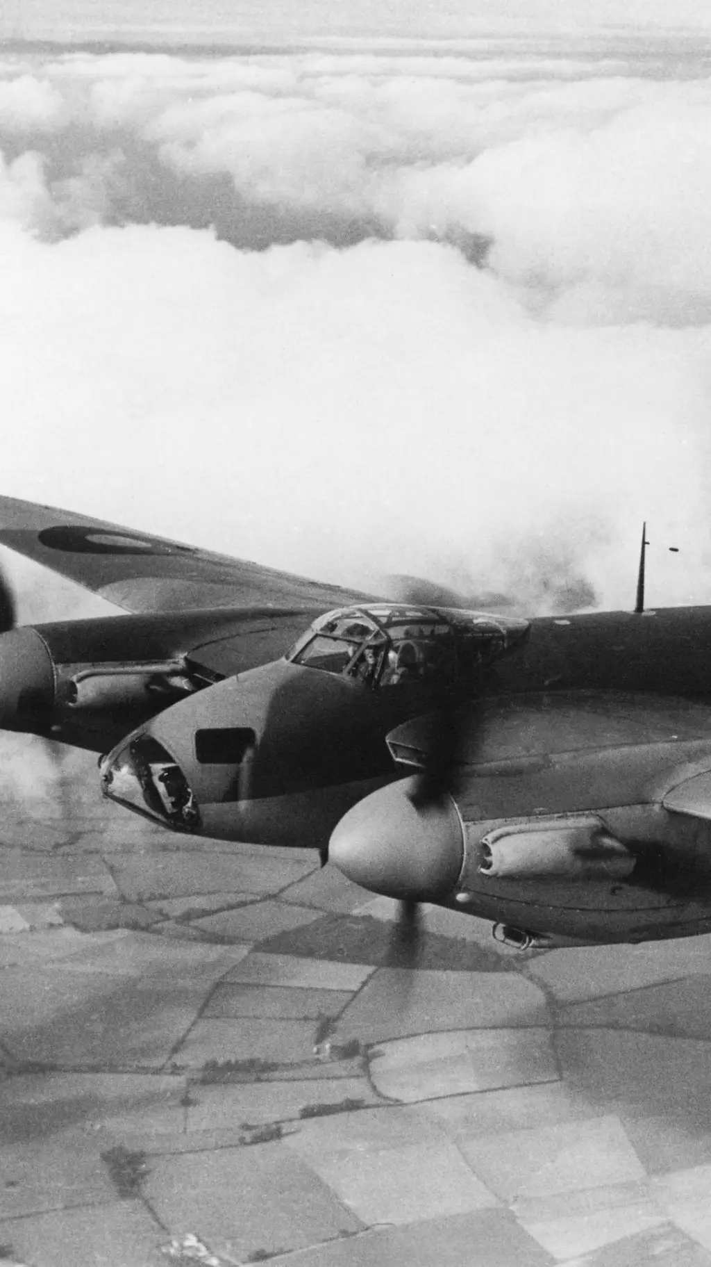 ai character: briish mosquito background