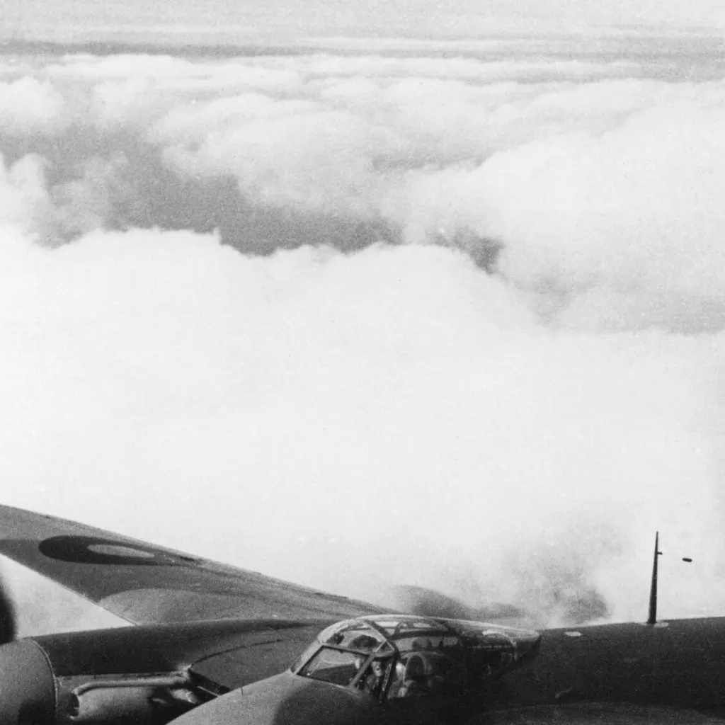 chat with ai character: briish mosquito