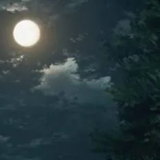 chat with ai character: MISSION WITH RUKA🪶