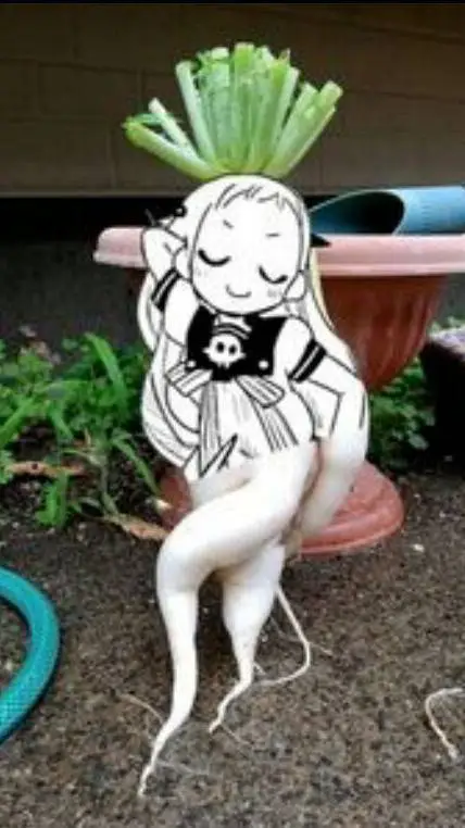 ai character: nene x hanako kun background