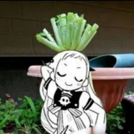 chat with ai character: nene x hanako kun