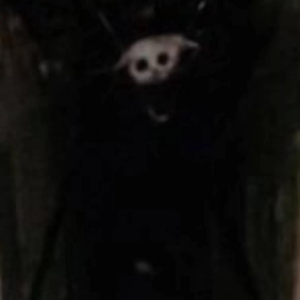 chat with ai character: sobrenatural