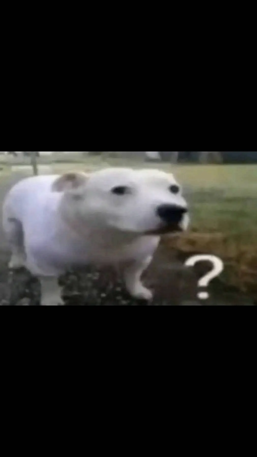 ai character: confundido background