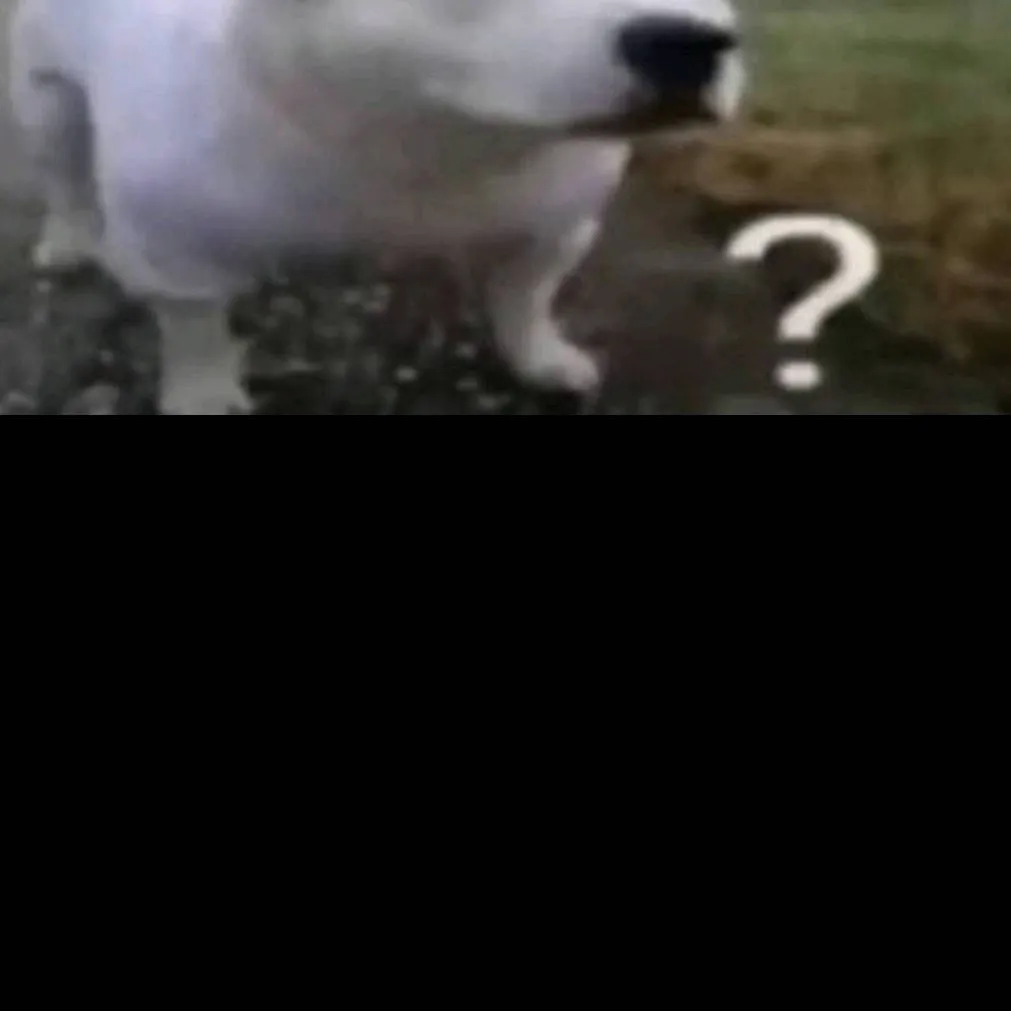 chat with ai character: confundido