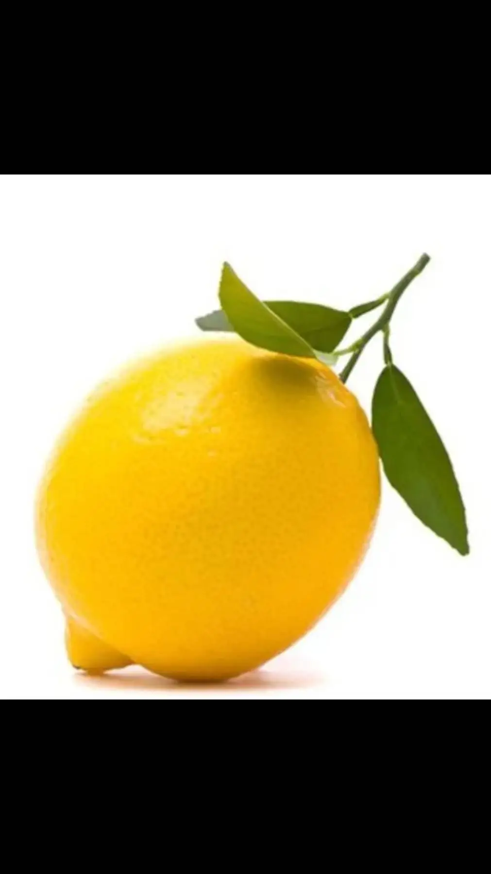 ai character: Roberto background