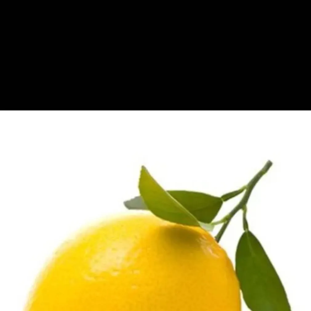 chat with ai character: Roberto