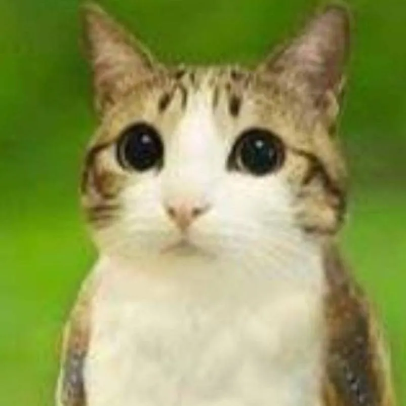 chat with ai character: gato búho 😼😼😼😼😼😼😼