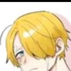 chat with ai character: Zoro x sanyi 